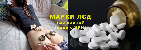 хмурый Абаза