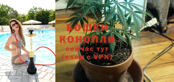 хмурый Абаза