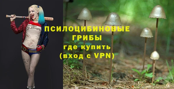 круглые Алексеевка