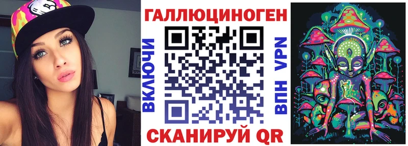 как найти   Мостовской  Псилоцибиновые грибы Psilocybe 